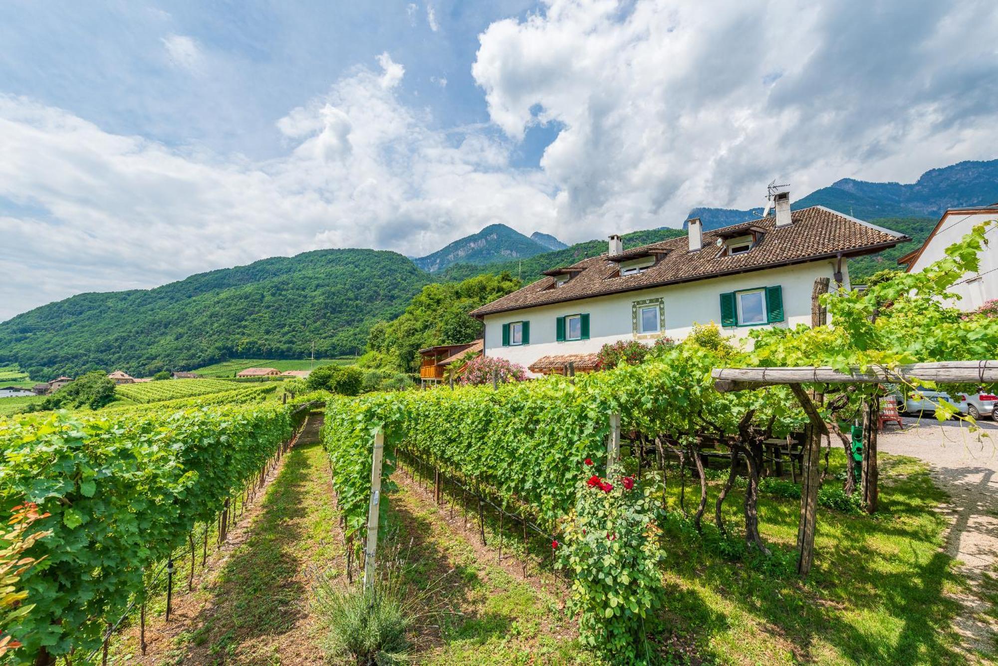 Weinhof Am See Caldaro Kültér fotó
