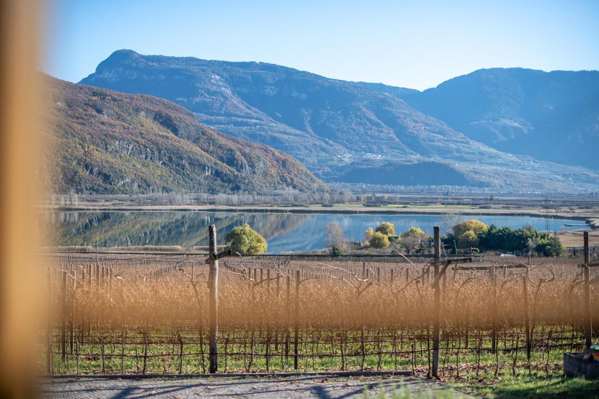 Weinhof Am See Caldaro Kültér fotó